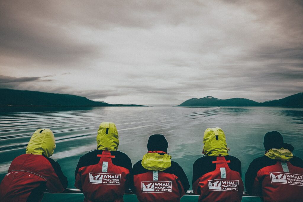 ICELAND HAS BANNED WHALE HUNTING, BUT CAN WHALE WATCHING FILL THE ECONOMIC VOID? 2 Elding Whale Watching Akureyri, Akureyri, Iceland