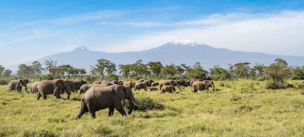 ANGAMA AMBOSELI UNVEILED AS KENYA'S FIRST COMMUNITY-OWNED CONSERVANCY 1 Kimana Sanctuary Angama Amboseli