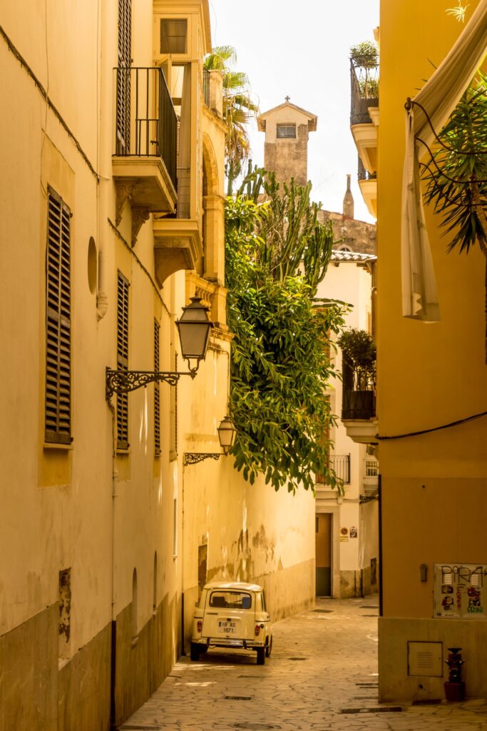 Mallorca is among the most popular summer holiday destinations for Tui so far