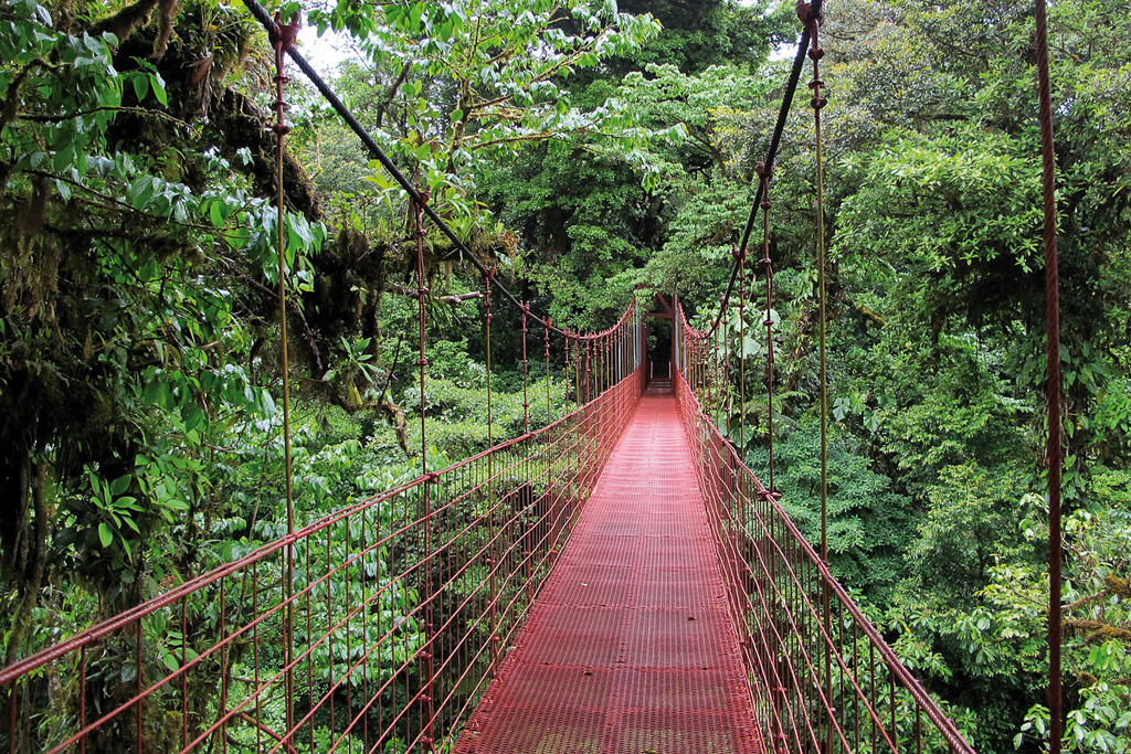 Costa Rica's trailblazing approach to reaching net zero by 2050 1 Costa Rica's trailblazing approach to reaching net zero by 2050
